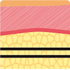 โครงสร้างไหมยกกระชับที่พัฒนาอย่างต่อเนื่องจากรุ่นที่ 1 ถึง 4