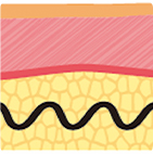 โครงสร้างไหมยกกระชับที่พัฒนาอย่างต่อเนื่องจากรุ่นที่ 1 ถึง 4