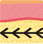 โครงสร้างไหมยกกระชับที่พัฒนาอย่างต่อเนื่องจากรุ่นที่ 1 ถึง 4